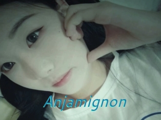 Anjamignon