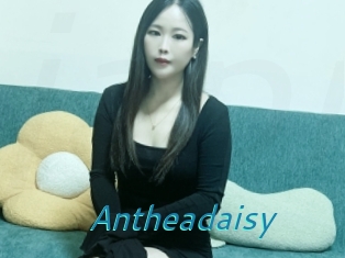 Antheadaisy