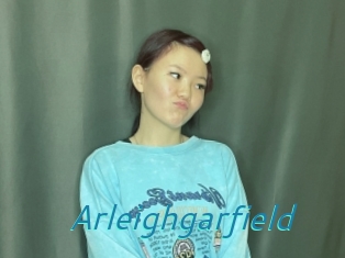 Arleighgarfield