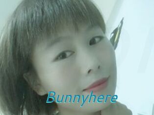 Bunnyhere