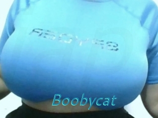 Boobycat