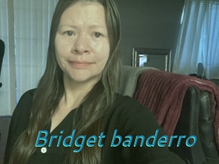 Bridget_banderro