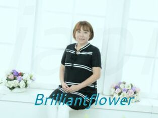 Brilliantflower