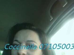 Coccinella-07105003