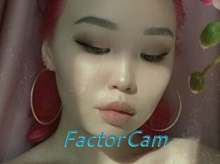 FactorCam