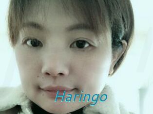 Haringo