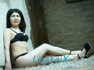 LinaFeiX