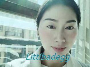 Littlbadegg