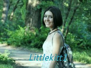 Littlekitt1