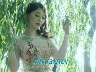 Niyamei