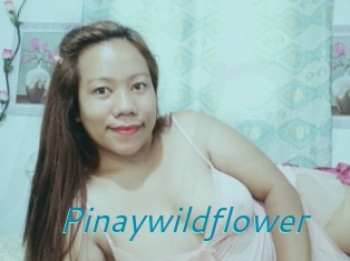 Pinaywildflower