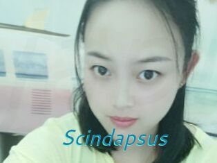 Scindapsus