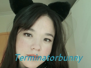 Terminatorbunny