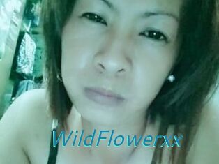 WildFlowerxx