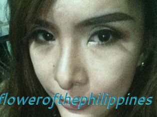 Wildflowerofthephilippines