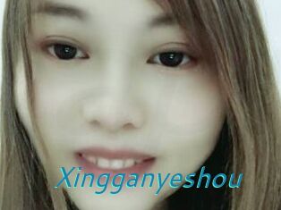 Xingganyeshou