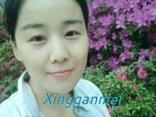 Xingganmei