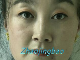 Zhaojingbao